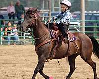 under-15-quarter-horse