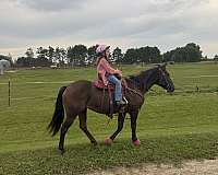 under-15-mare