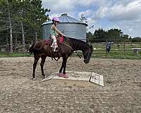 under-15-horse