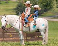 jumping-welsh-pony