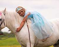trail-welsh-pony