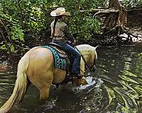athletic-quarter-pony