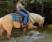 husband-safe-quarter-pony
