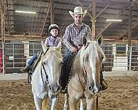 ranch-work-quarter-pony