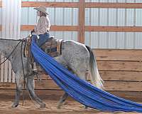 ranch-versatility-quarter-horse