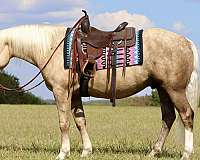 husband-safe-draft-horse
