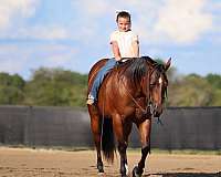 flashy-quarter-horse