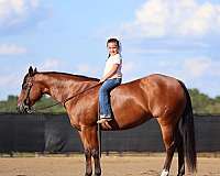 ranch-versatility-quarter-horse