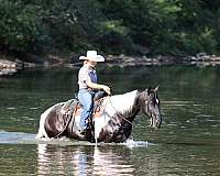 kid-safe-paint-horse