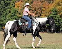 lesson-paint-horse