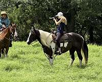 trail-paint-horse