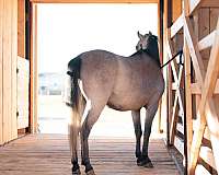 good-minded-pony