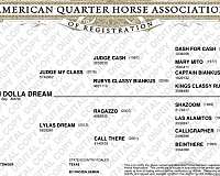prospect-quarter-horse