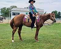 ridden-western-quarter-horse