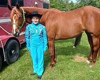 trail-quarter-horse