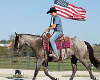 kid-safe-quarter-horse