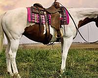 athletic-paint-horse
