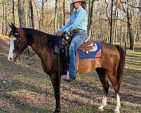 big-motor-mule