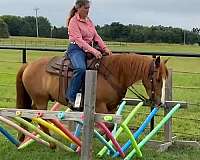 approved-racking-horse