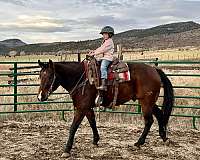 safe-quarter-horse