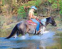 athletic-paint-horse