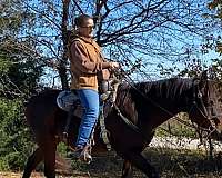 ranch-work-quarter-horse