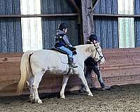 pony