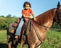 kid-friendly-horse-tennessee-walking