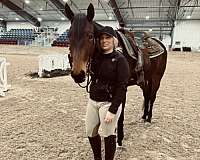 quarter-horse
