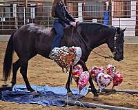 trail-riding-quarter-horse