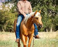 ranch-versatility-quarter-horse