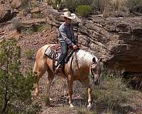 flashy-quarter-horse