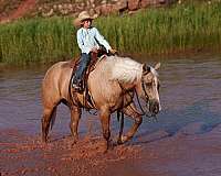 ranch-quarter-horse