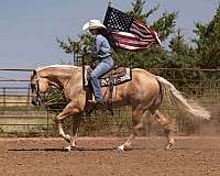 ranch-work-quarter-horse
