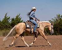 ridden-western-quarter-horse