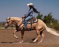 trail-riding-quarter-horse