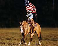 athletic-quarter-horse