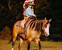 flashy-quarter-horse