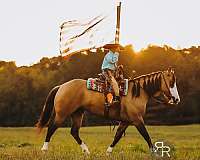 ranch-quarter-horse