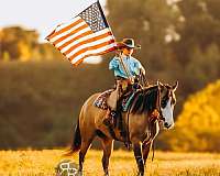 ranch-versatility-quarter-horse