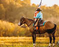 ranch-work-quarter-horse