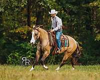 trail-riding-quarter-horse