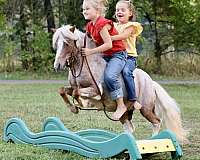 athletic-pony