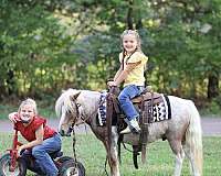 kid-safe-pony