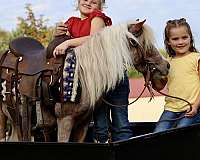 show-pony