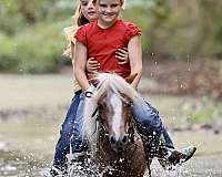 trail-riding-pony