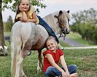 youth-pony