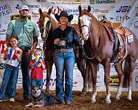 flashy-quarter-horse
