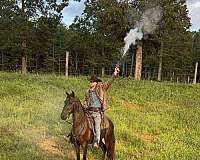 black-all-around-trail-riding-horse