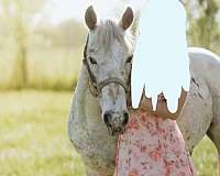barrel-pole-poa-horse